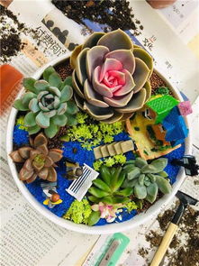 深圳花藝沙龍 以芬芳為紐帶，深化客戶情誼的聚會與花藝工程